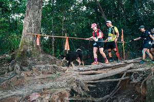 BIB: 
                            <button type="button" onclick="openModal(27312881)" class="btn btn-primary btn-sm float-right btn-popup" data-toggle="modal" data-target=".modal-high-quality">
                        <i class="fas fa-shopping-cart"></i> Add to Cart
                    </button>
                                            <button type="button" onclick="isThisMe(27312881, true)" class="btn btn-success btn-sm float-right btn-popup btn-isme hidden" data-toggle="tooltip" data-placement="bottom" title="นี่คือรูปของคุณใช่ไหม คลิกที่นี่เพื่อเอาเข้าอัลบั้ม">
                        <i class="fas fa-plus"></i> Add to album
                    </button>
                    <button type="button" onclick="isThisMe(27312881, false)" class="btn btn-warning btn-sm float-right btn-popup btn-isnotme hidden">
                        <i class="fas fa-ban"></i> Remove from album
                    </button>